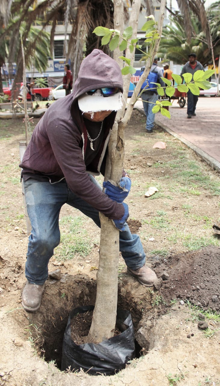 1690311484 486 ServiciosPublicos Seguimos trabajando en la recuperacion y rehabilitacion de