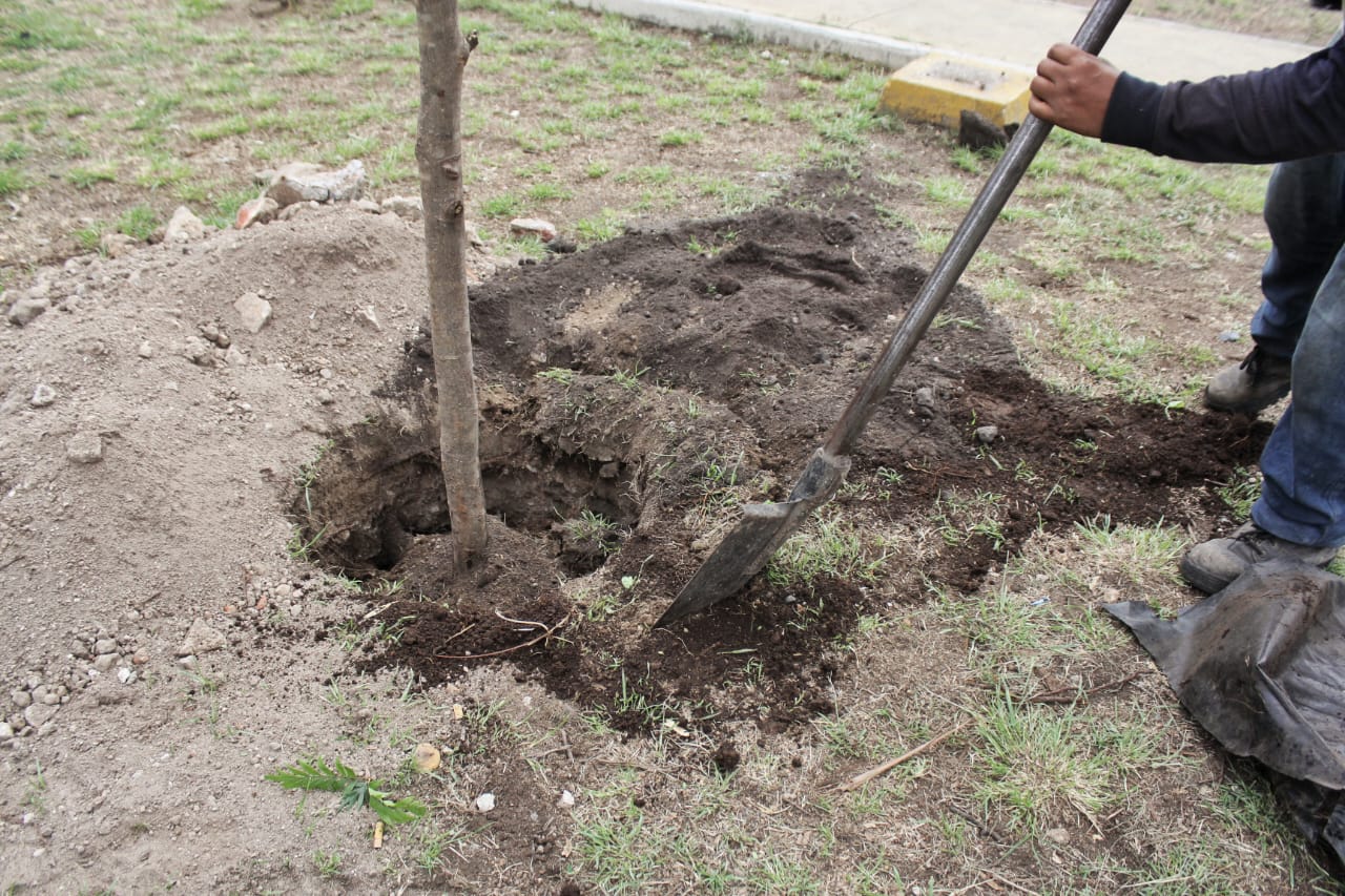 1690311491 903 ServiciosPublicos Seguimos trabajando en la recuperacion y rehabilitacion de