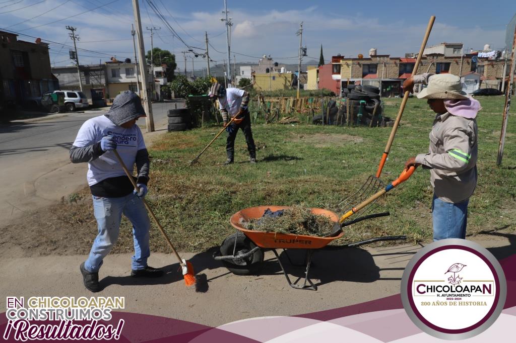 1690378692 748 Las arduas labores del programa Enchulame la Colonia continuan en