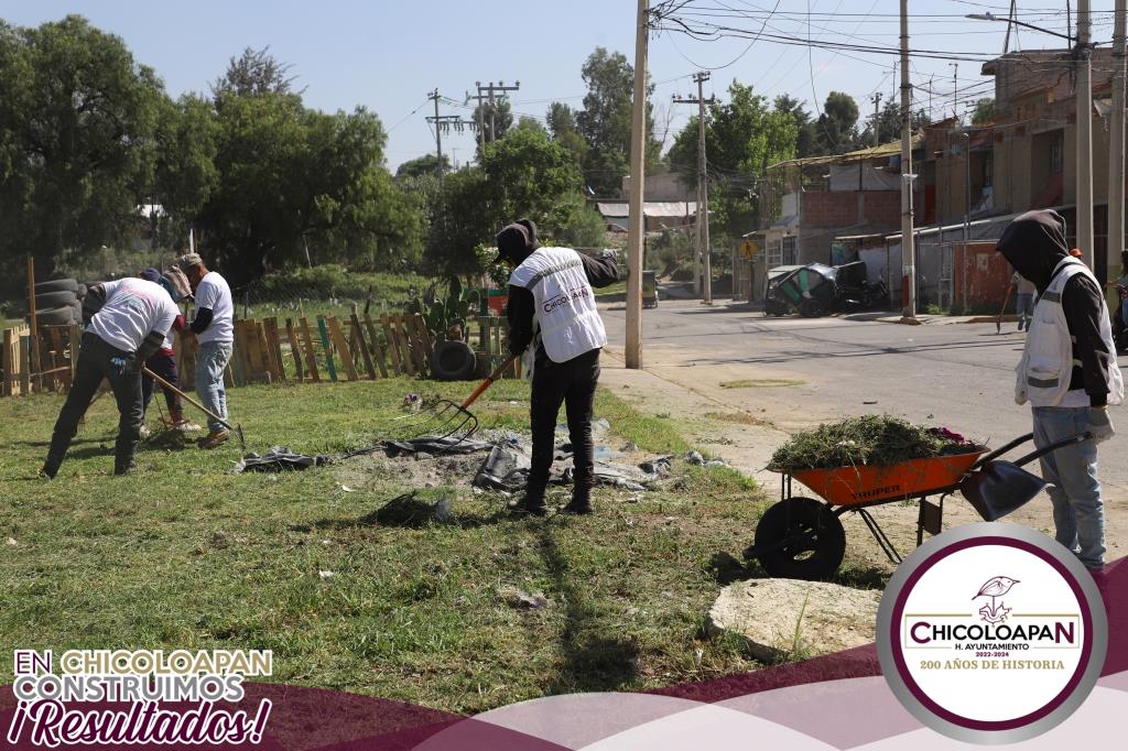 1690378697 482 Las arduas labores del programa Enchulame la Colonia continuan en