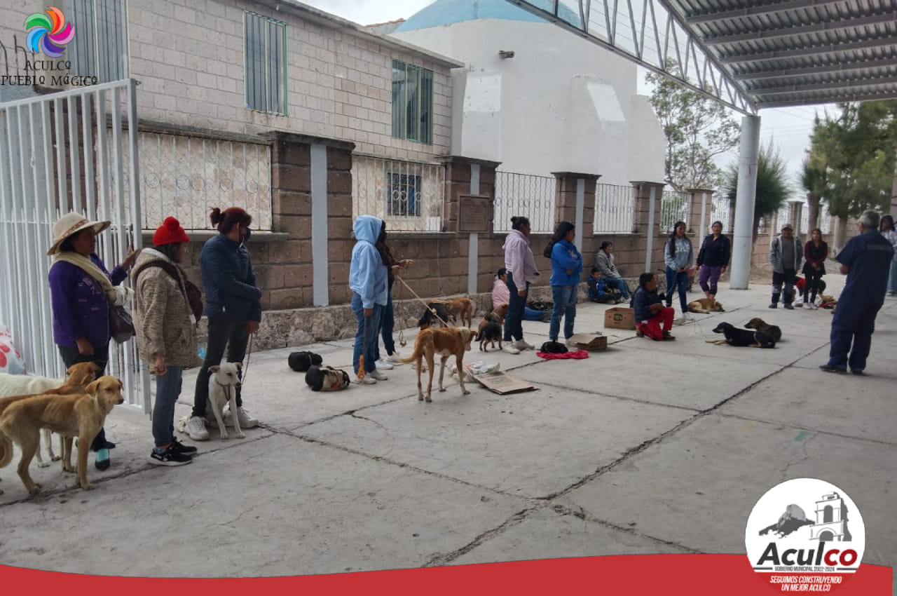 1690379961 228 El dia de hoy llevamos a cabo la Campana de