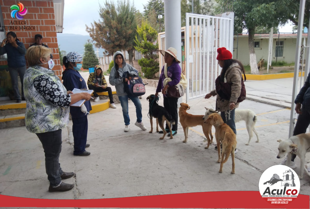 1690379967 761 El dia de hoy llevamos a cabo la Campana de