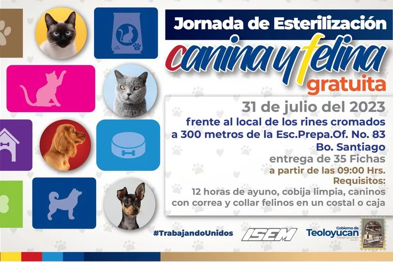 1690391871 Jornada de esterilizacion canina y felina jpg