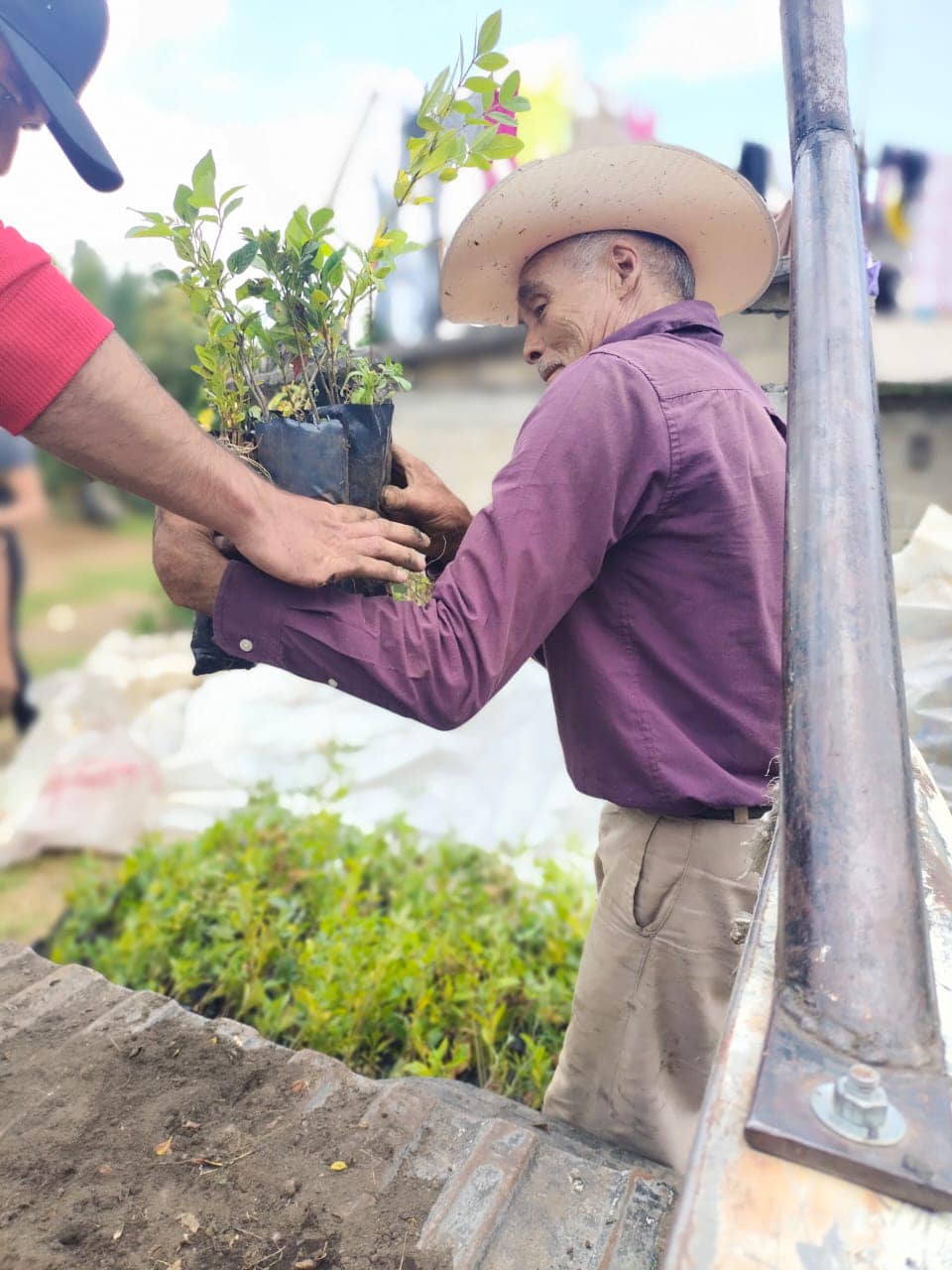 1690481251 642 El Ayuntamiento Coatepec Harinas 2022 2024 continua conservando nuestro entorno