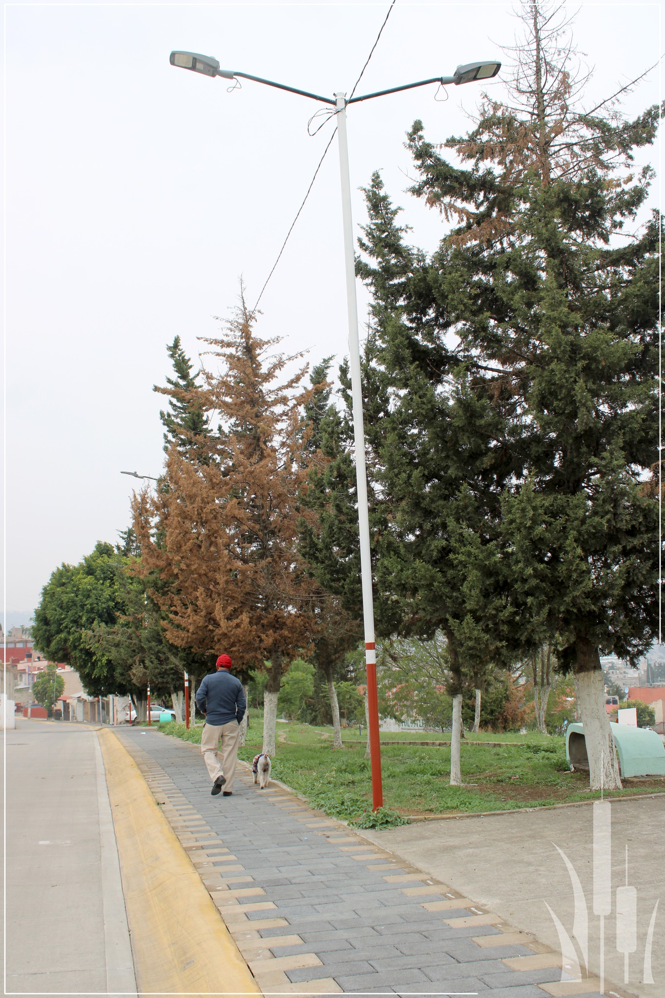 1690490223 309 SeguimosTransformandoTultitlan en un MunicipioSeguro Con mas y mejor infraes