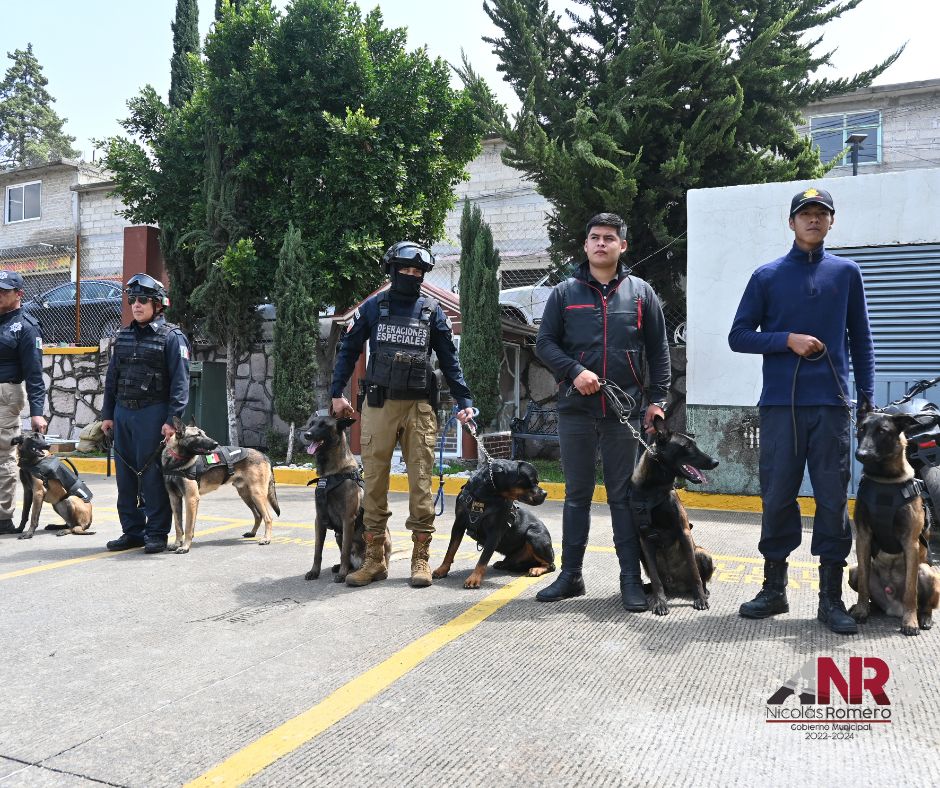 1690552775 98 ¡Nuestros valientes perros policia adiestrados en Nicolas Romero nos llenan