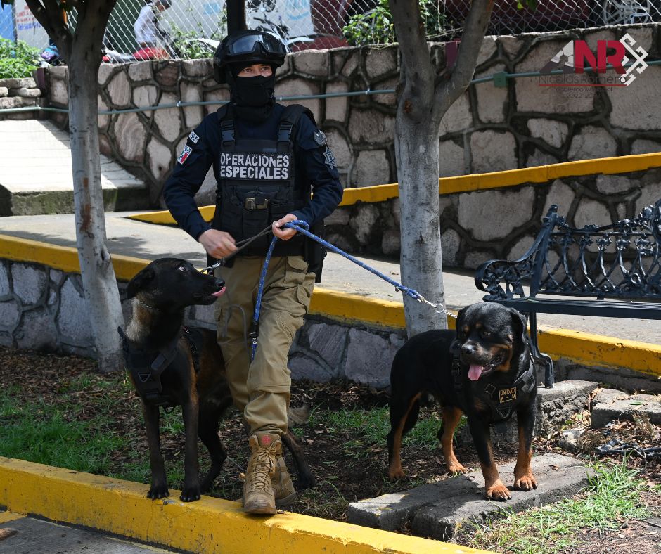 1690552787 533 ¡Nuestros valientes perros policia adiestrados en Nicolas Romero nos llenan