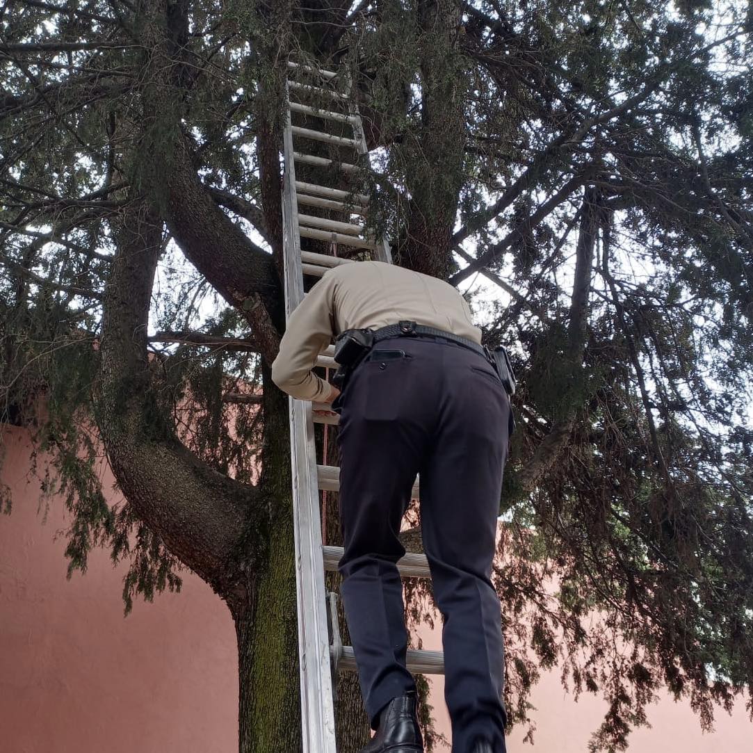 1690583276 253 ¡Nada nos detiene La Policia Municipal Metepec esta siempre al