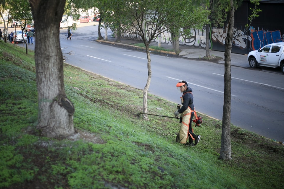 1690664060 665 Llevamos a cabo una nueva Jornada de Recuperacion de Espacios