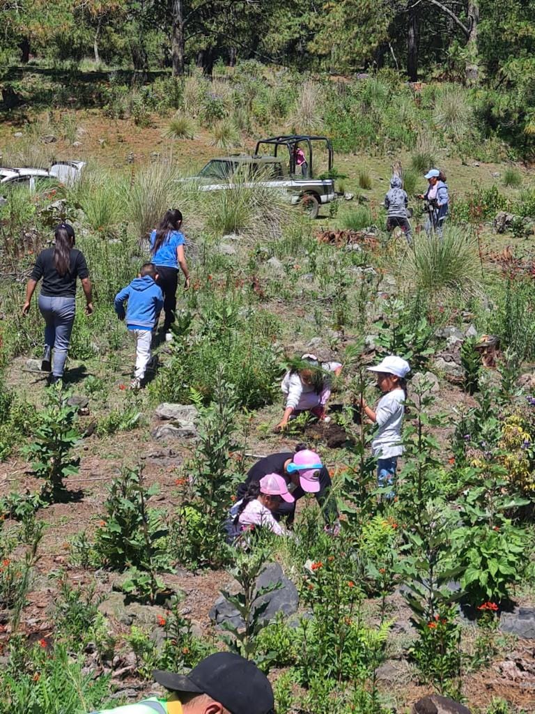 1690665562 891 2Reforestacion San Miguel de Ocampo Esta manana contamos con