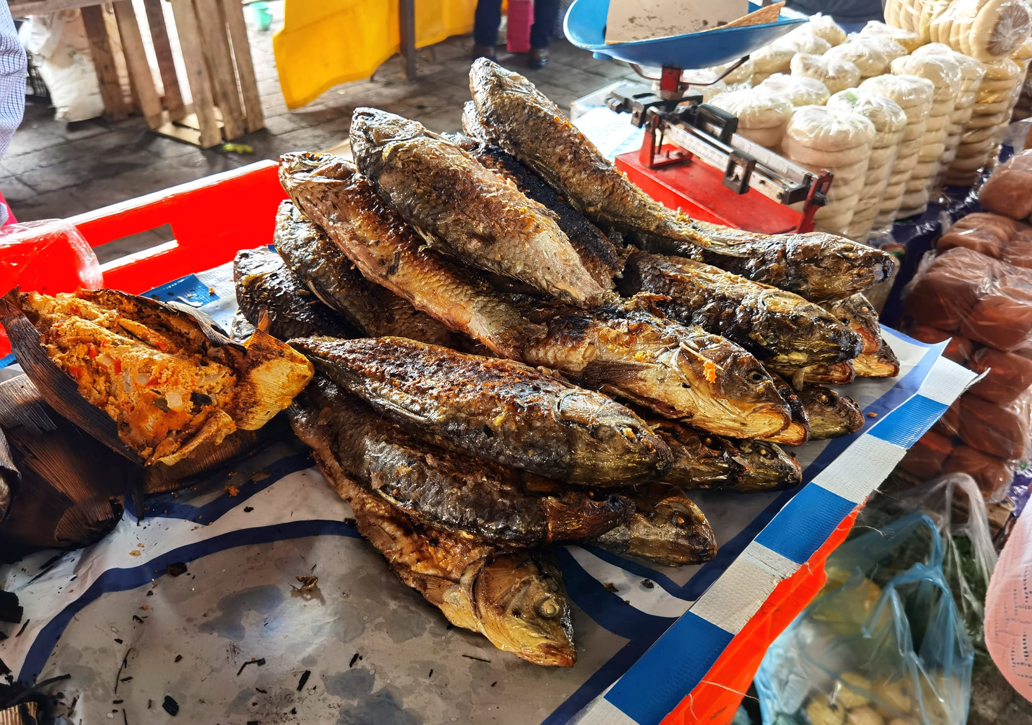 1690742109 949 Domingo de tianguis una tradicion de muchos anos donde las