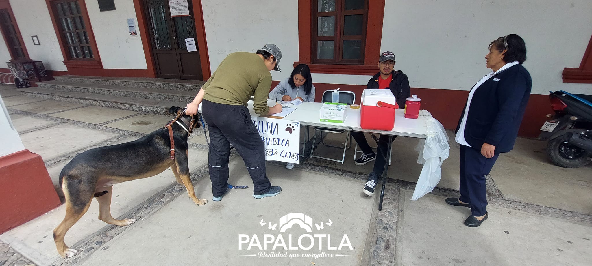 1690742238 543 vacunaatumascota ¡Comenzo la Jornada Estatal de VacunacionAntirrabica en P