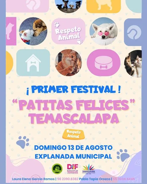 1690814077 Te invitamos al Primer Festival de PatitasFelices Temascalapa Este domingo jpg