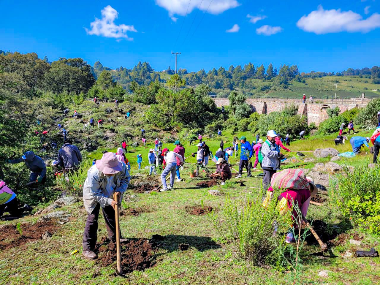 1690822723 99 En el ejido de Santa Ana Ixtlahuaca logramos plantar 2000