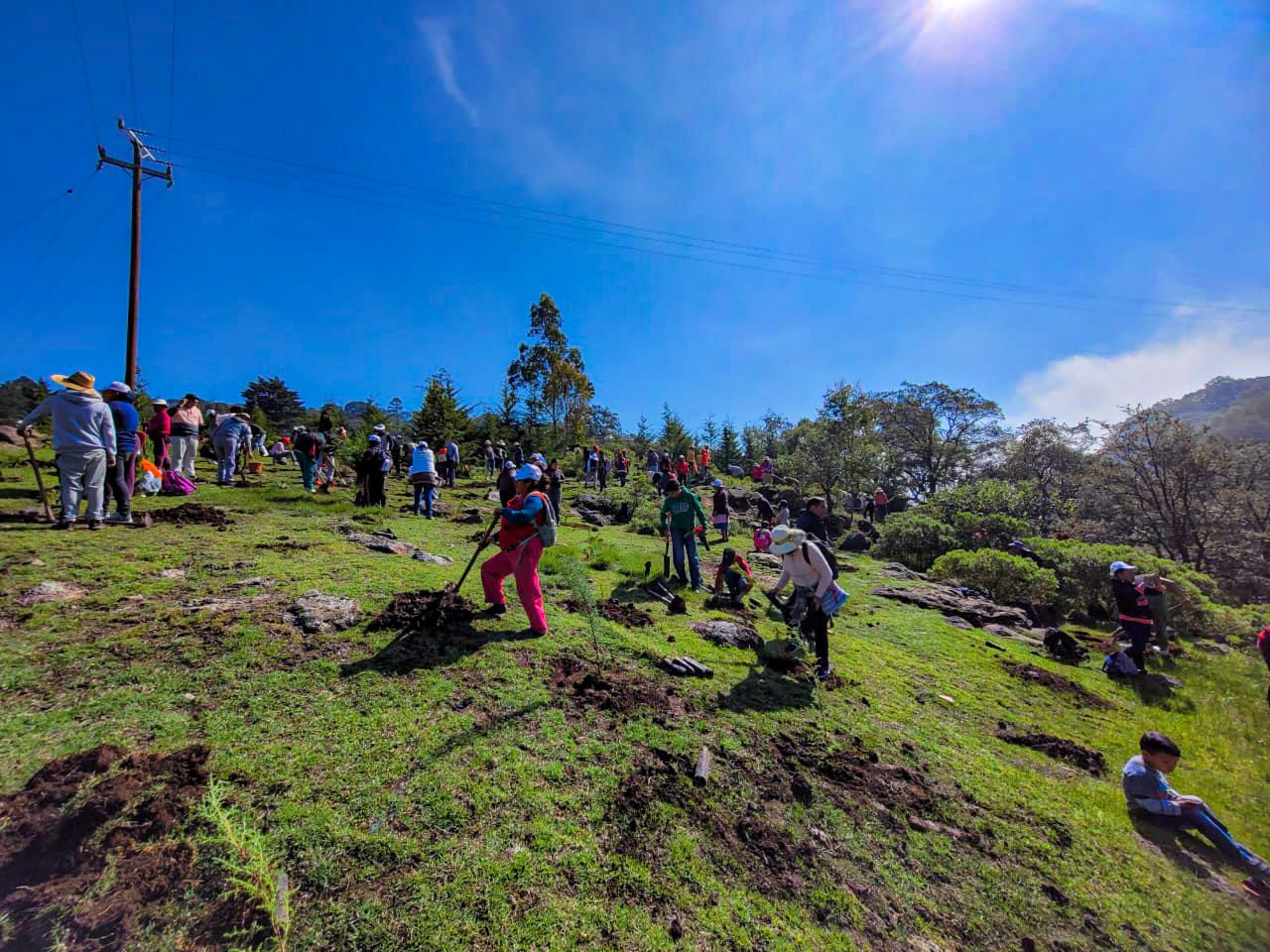 1690822727 423 En el ejido de Santa Ana Ixtlahuaca logramos plantar 2000