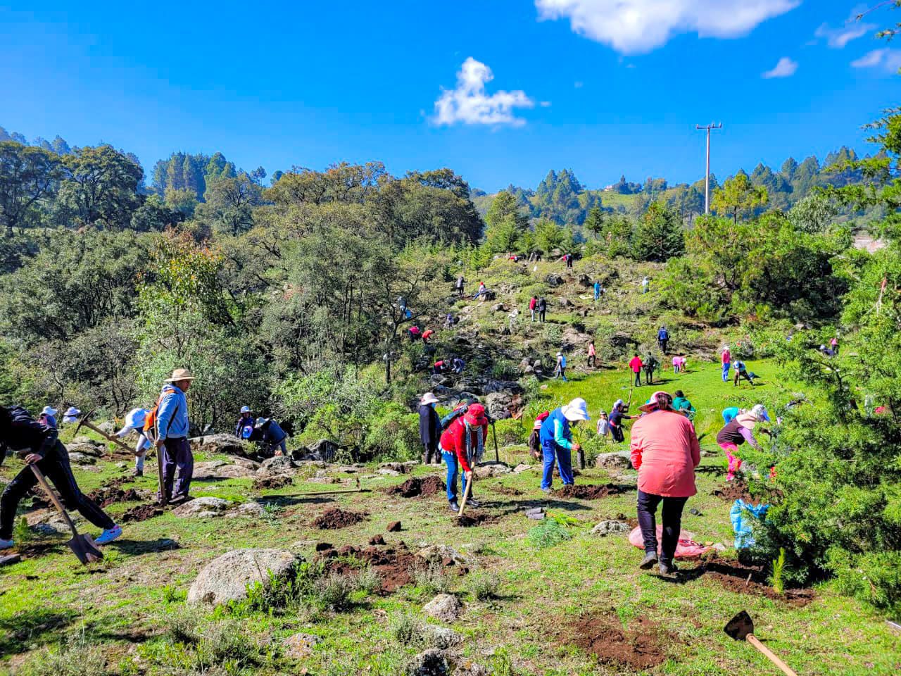 1690822736 554 En el ejido de Santa Ana Ixtlahuaca logramos plantar 2000