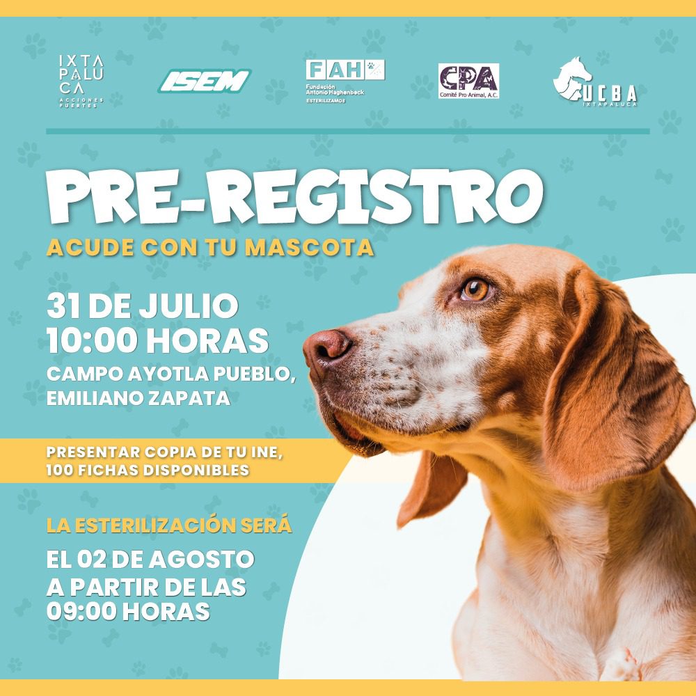 1690822786 705 ¡Aun estas de registrar a tu mascota Ven a la