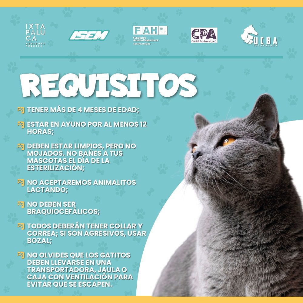 1690822791 208 ¡Aun estas de registrar a tu mascota Ven a la