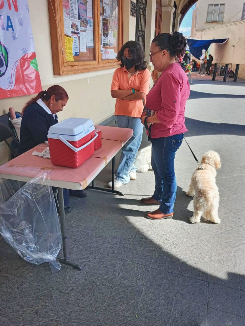 1690824392 439 ¡Vacunamos a tus peluditos Para el cuidado de las mascotas