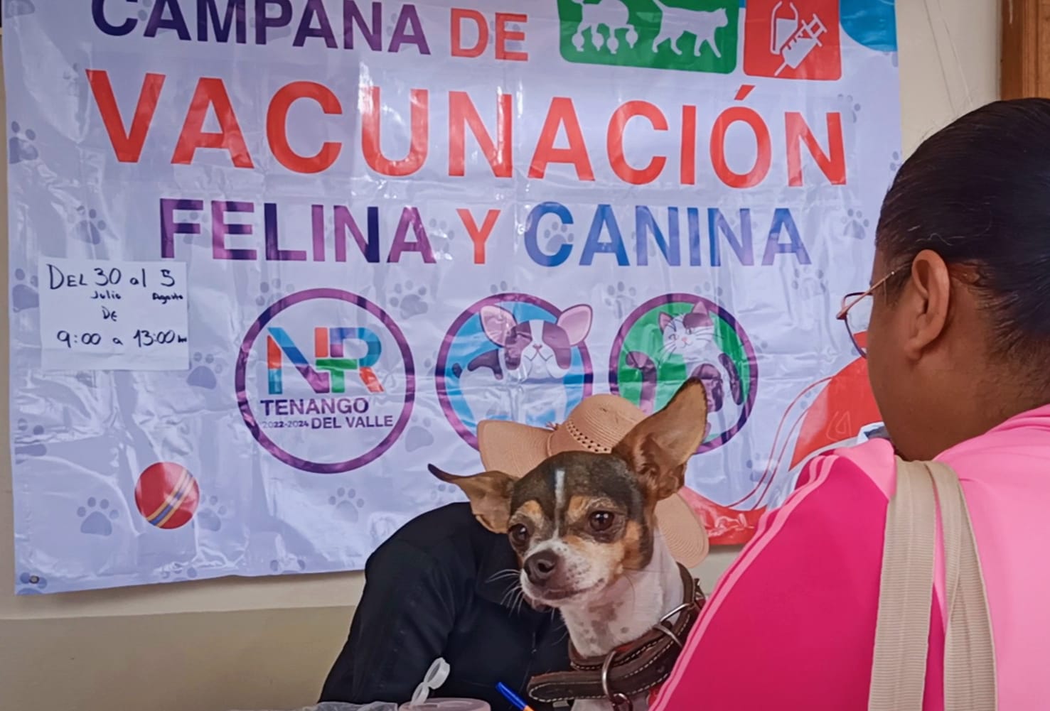 1690824402 893 ¡Vacunamos a tus peluditos Para el cuidado de las mascotas