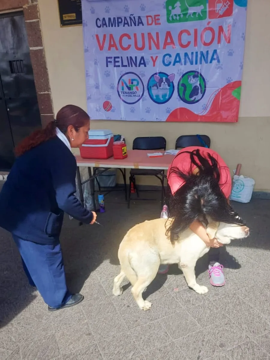 1690824407 755 ¡Vacunamos a tus peluditos Para el cuidado de las mascotas