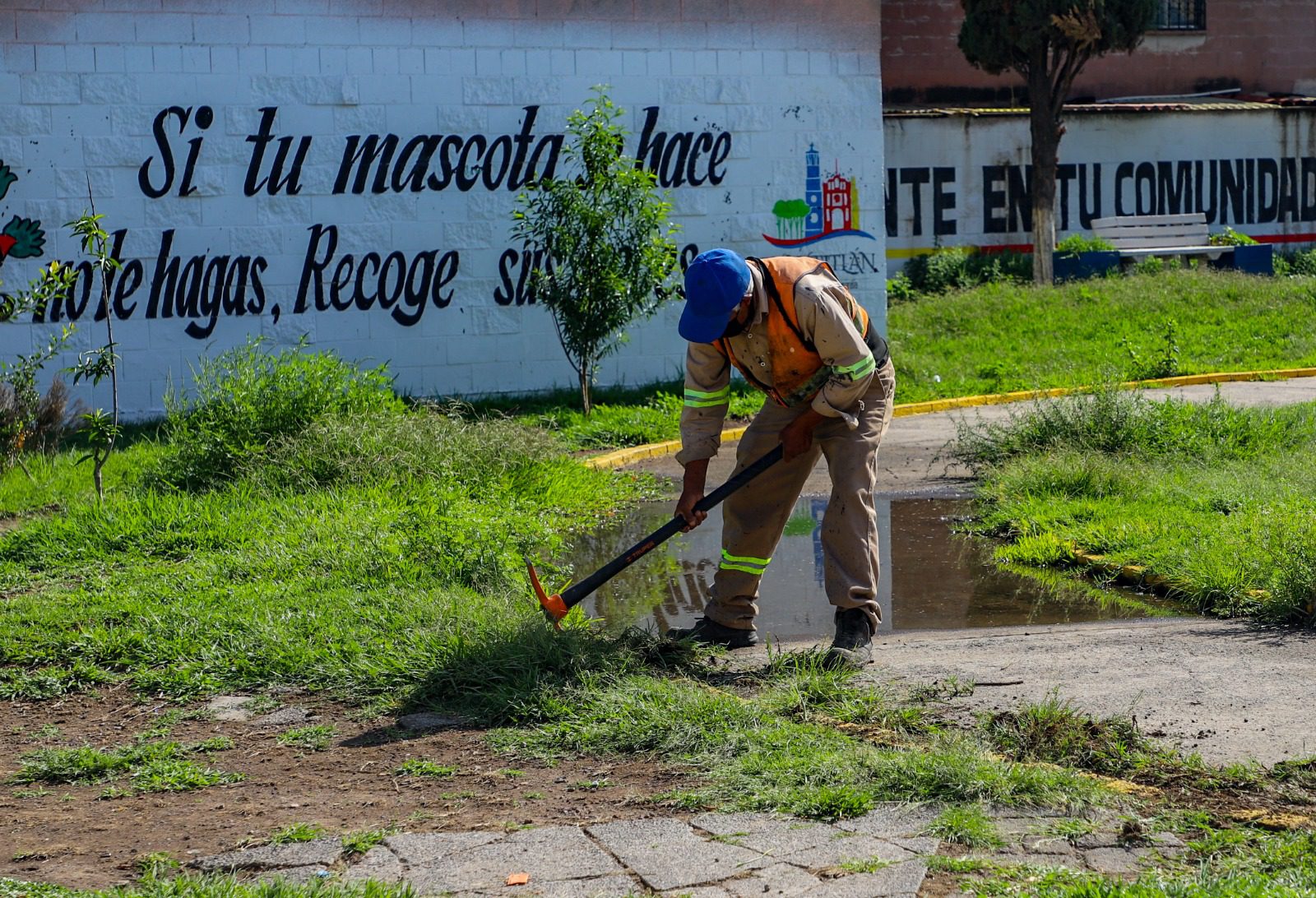 1690826432 697 Para seguir embelleciendo las colonias de nuestro Cuautitlan en los