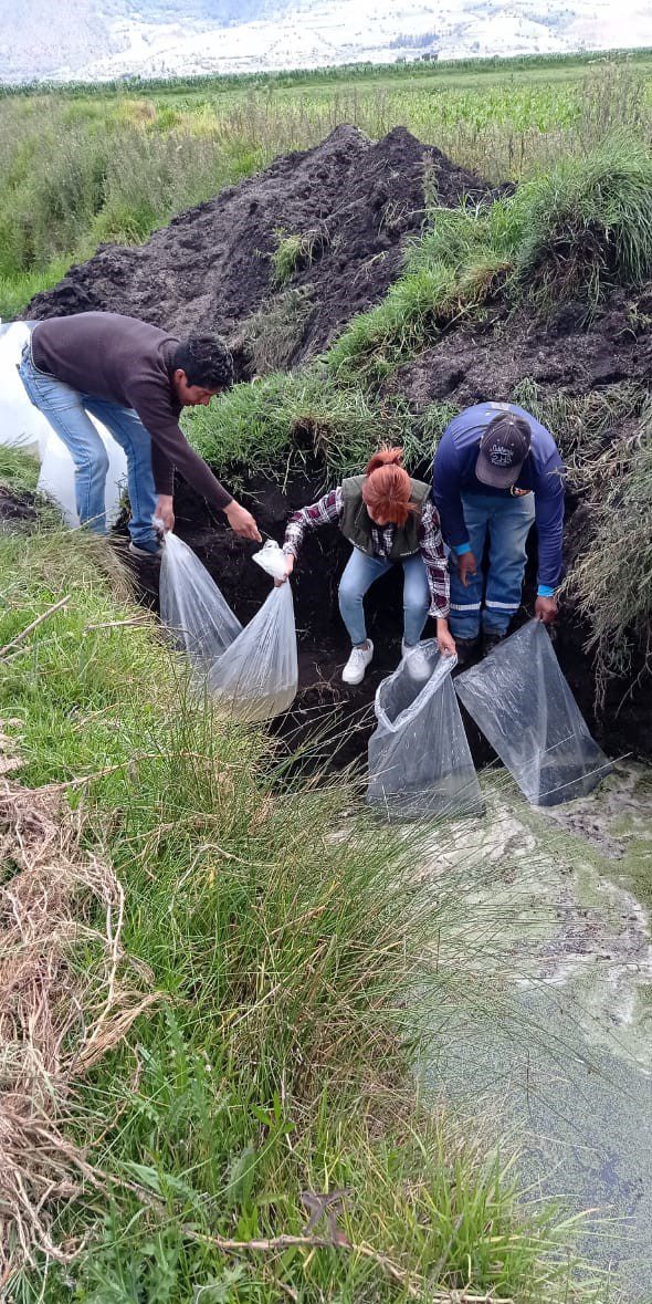 1690828553 698 IMPORTANTE GOBIERNO QUE CONSTRUYE EN FAVOR DE LOS TEXCALYAQUENSES INFORME