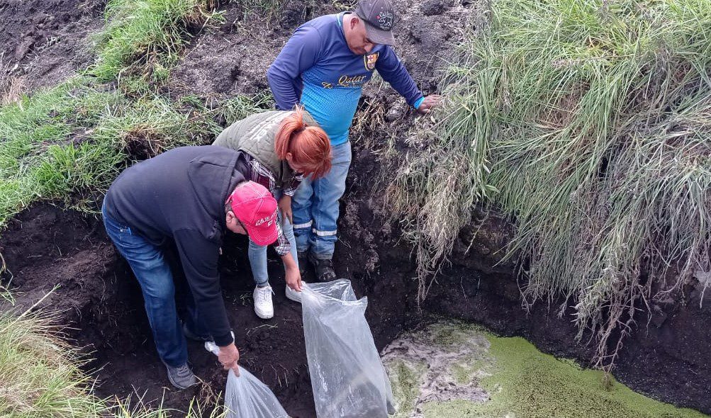 1690828558 467 IMPORTANTE GOBIERNO QUE CONSTRUYE EN FAVOR DE LOS TEXCALYAQUENSES INFORME