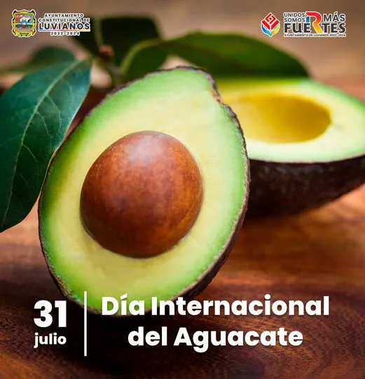 1690829775 Hoy celebramos el Dia del Aguacate Nuestro pais es el jpg