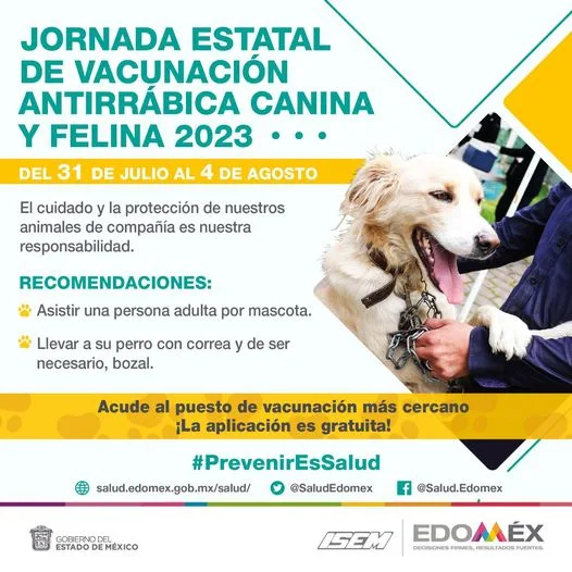 1690830141 Ya inicio la jornada de vacunacion antirrabica recuerda que perros jpg