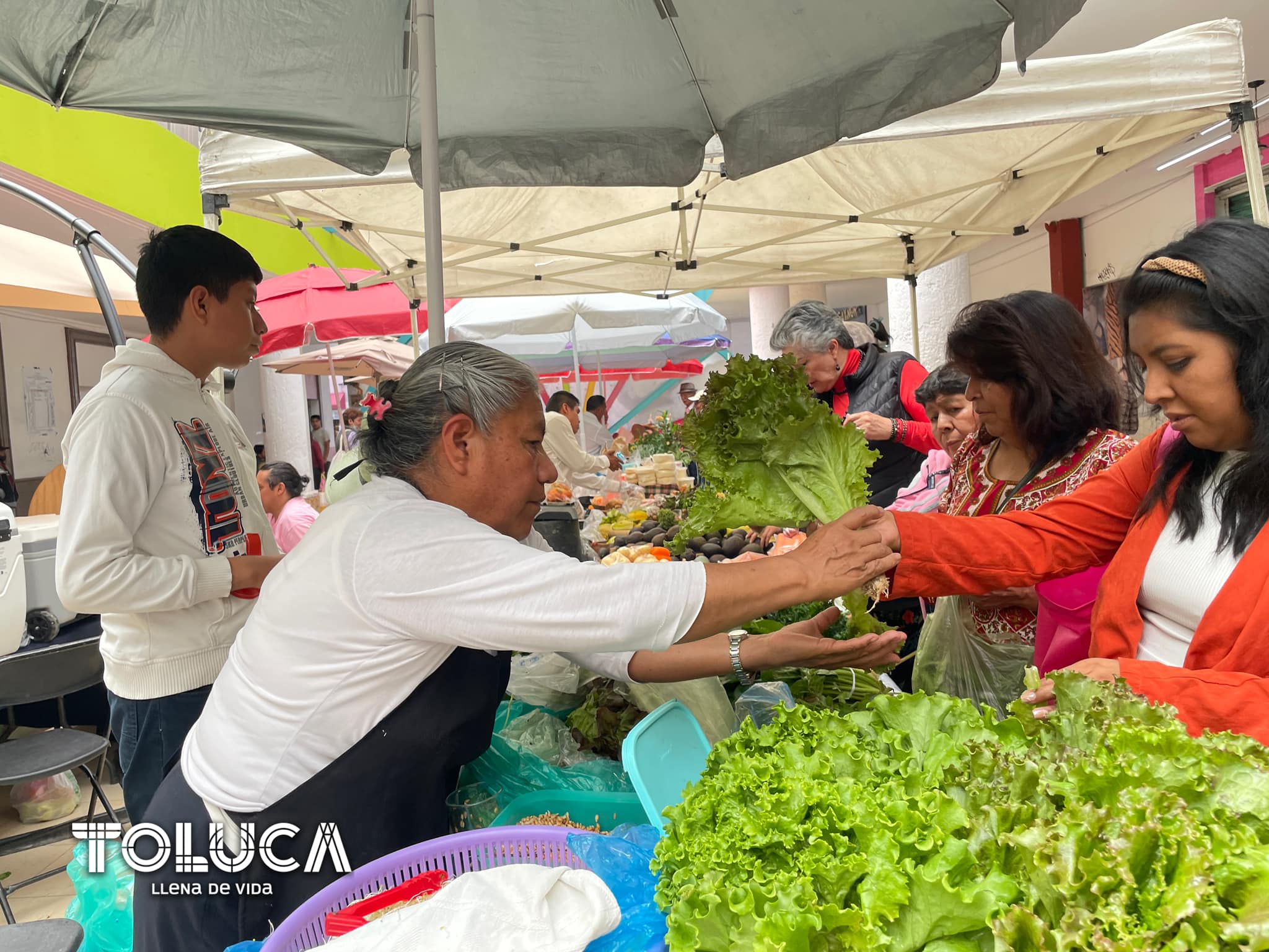 1690831231 179 ¡Te esperamos en nuestro HuertoSustentable del DIF Toluca en la