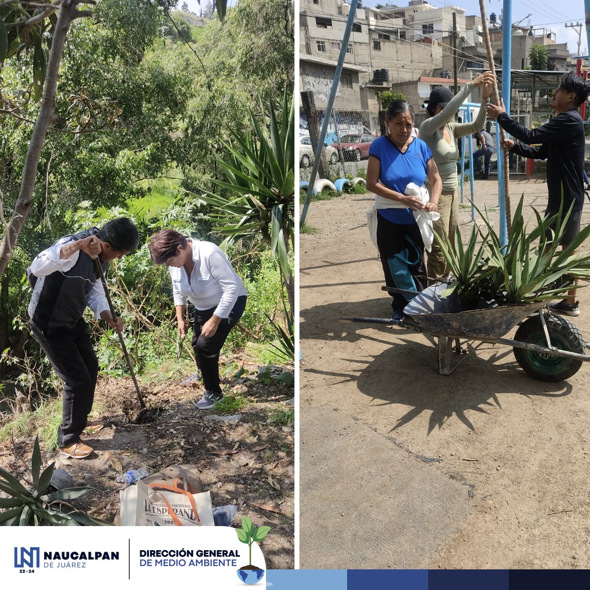 1690836792 712 Hoy llevamos a cabo la jornada de reforestacion en La