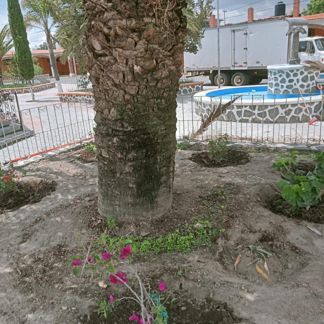 1690843397 902 Ecologia Jornada de Limpieza en San Bartolome Actopan Hacemos