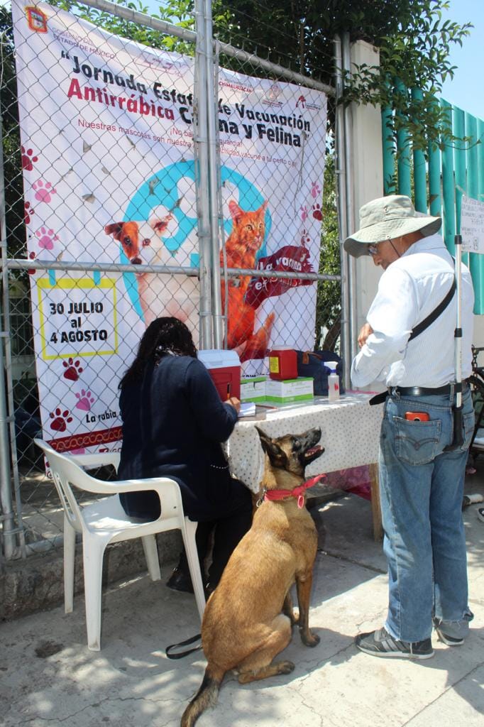 1690847968 805 POR SEGURIDAD DE TODOS CONVOCAN CHIMALHUACAN Y EDOMEX A CAMPANA