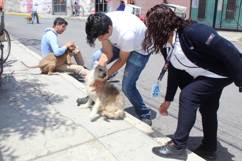 1690847972 381 POR SEGURIDAD DE TODOS CONVOCAN CHIMALHUACAN Y EDOMEX A CAMPANA