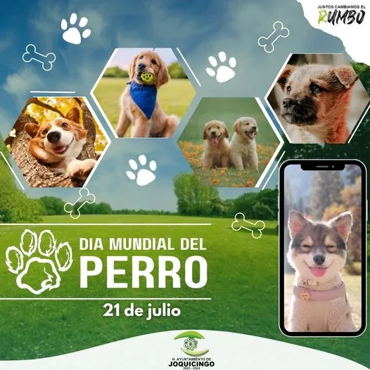 21 de julio DiaMundialDelPerro Los perros son los mejores jpg