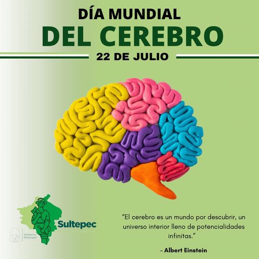 22 de julio Dia Mundial del Cerebro