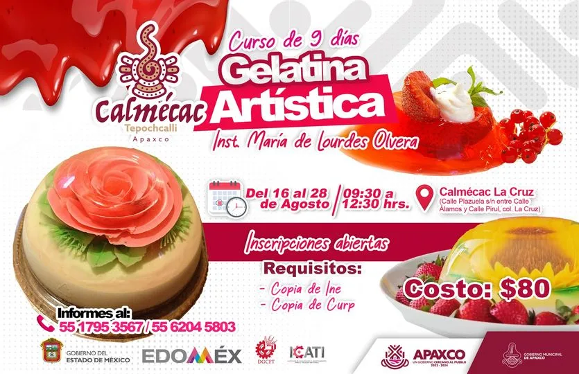 APRENDE A REALIZAR GELATINA ARTISTICA jpg