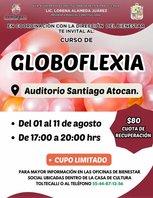 CURSO DE GLOBOFELXIA LOS CURSOS NO SE ACABAN Que mejor jpg