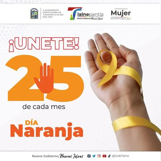 Cada 25 de mes se conmemora el Dia Naranja un jpg