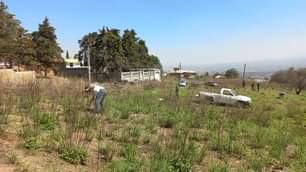 Campana de Reforestacion Forestal 2023 Santa Maria