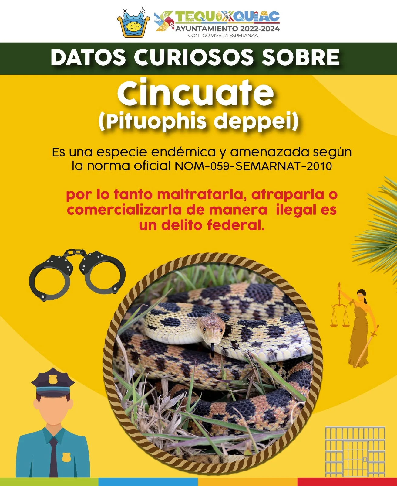 Conoce al cincuate una serpiente que habita en los ecosistemas jpg