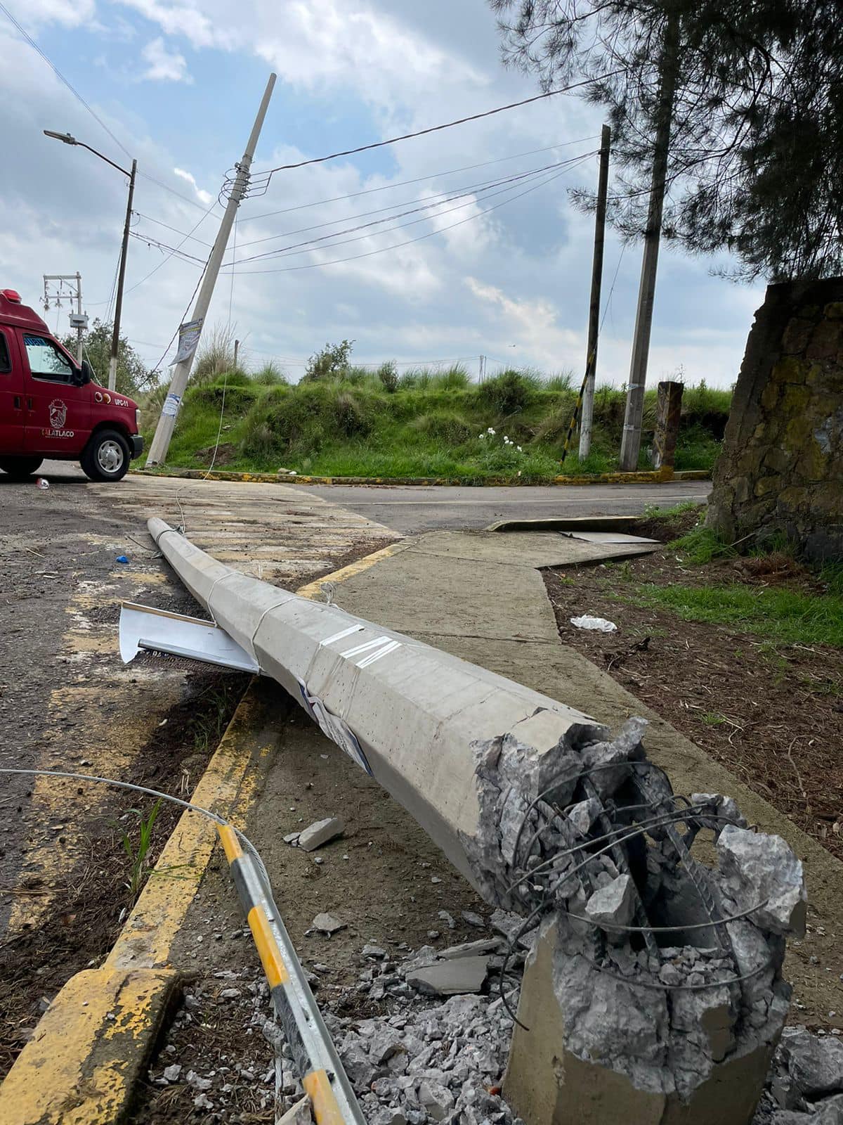 Debido a la caida de un arbol es afectada la