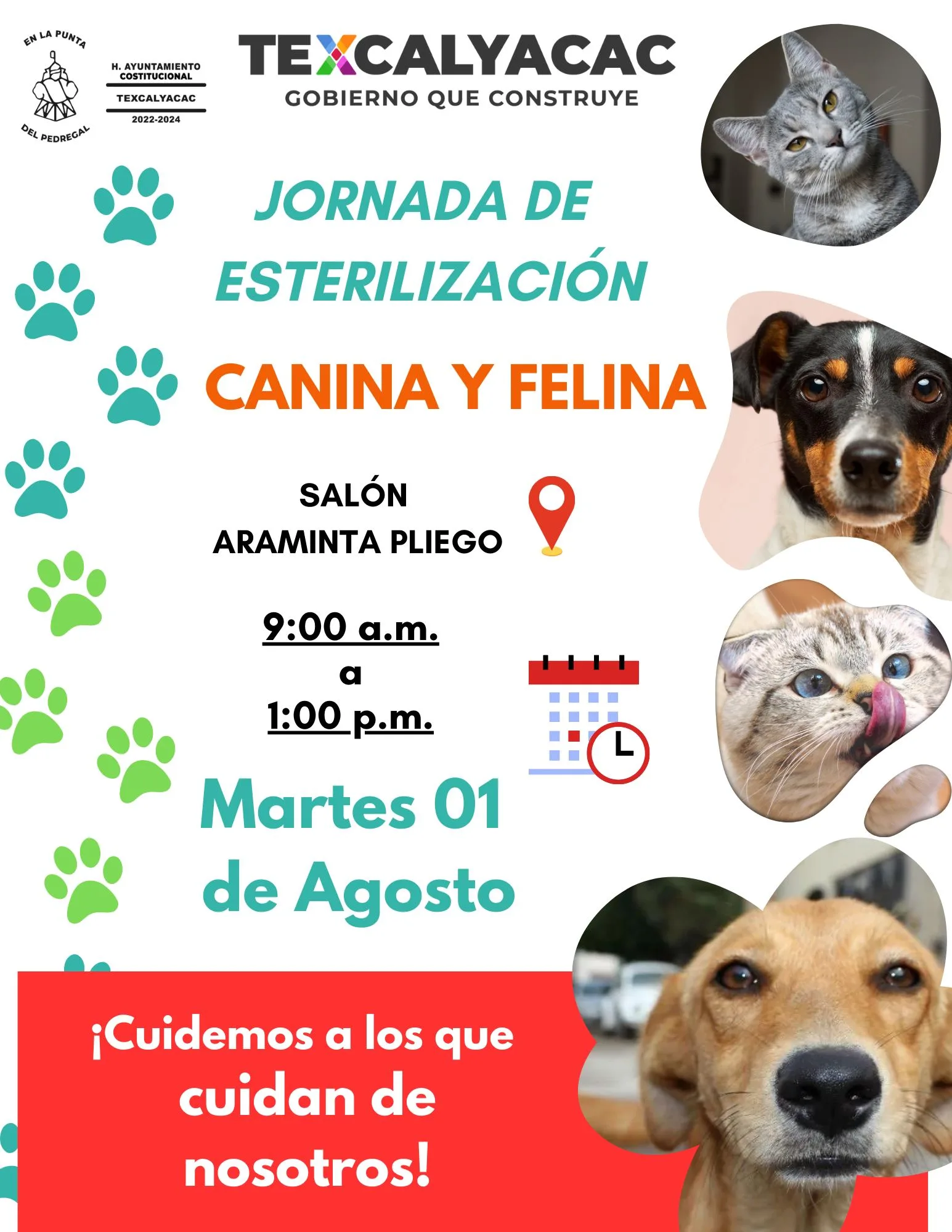 ESTERILIZACION CANINA Y FELINA El Gobierno Municipal de Texcalyacac a jpg