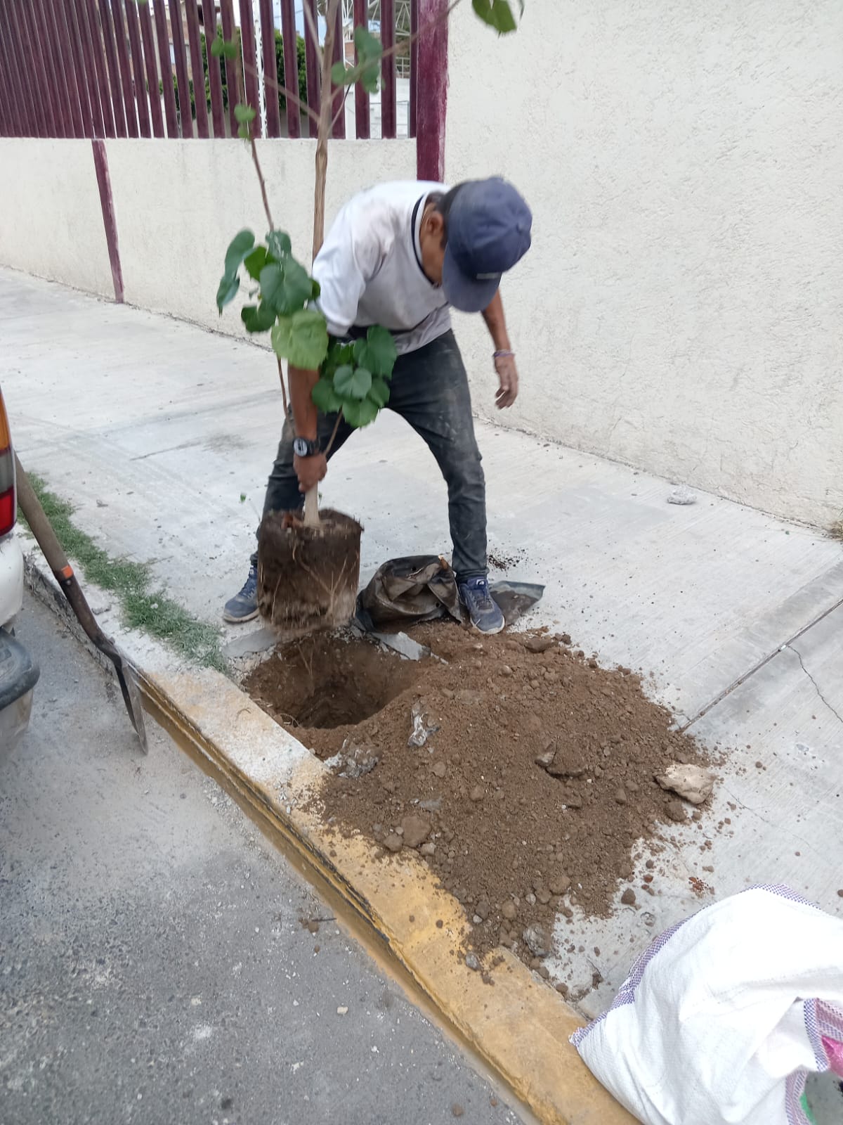 El Ayuntamiento de Texcoco con ayuda de vecinos continua las