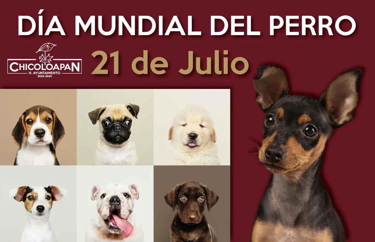 El Dia Mundial del Perro se celebra cada 21 de jpg