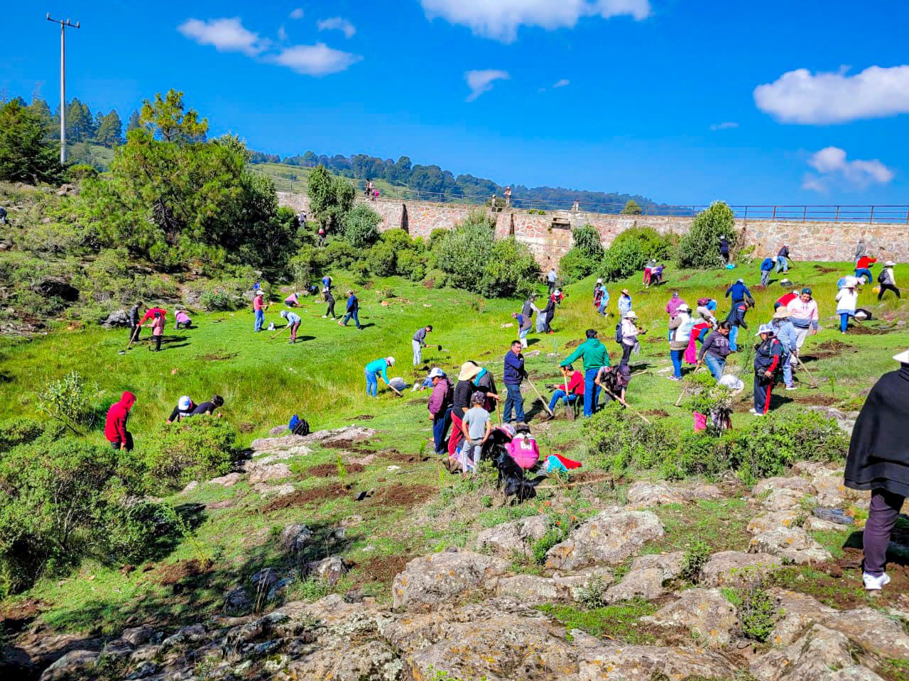 En el ejido de Santa Ana Ixtlahuaca logramos plantar 2000