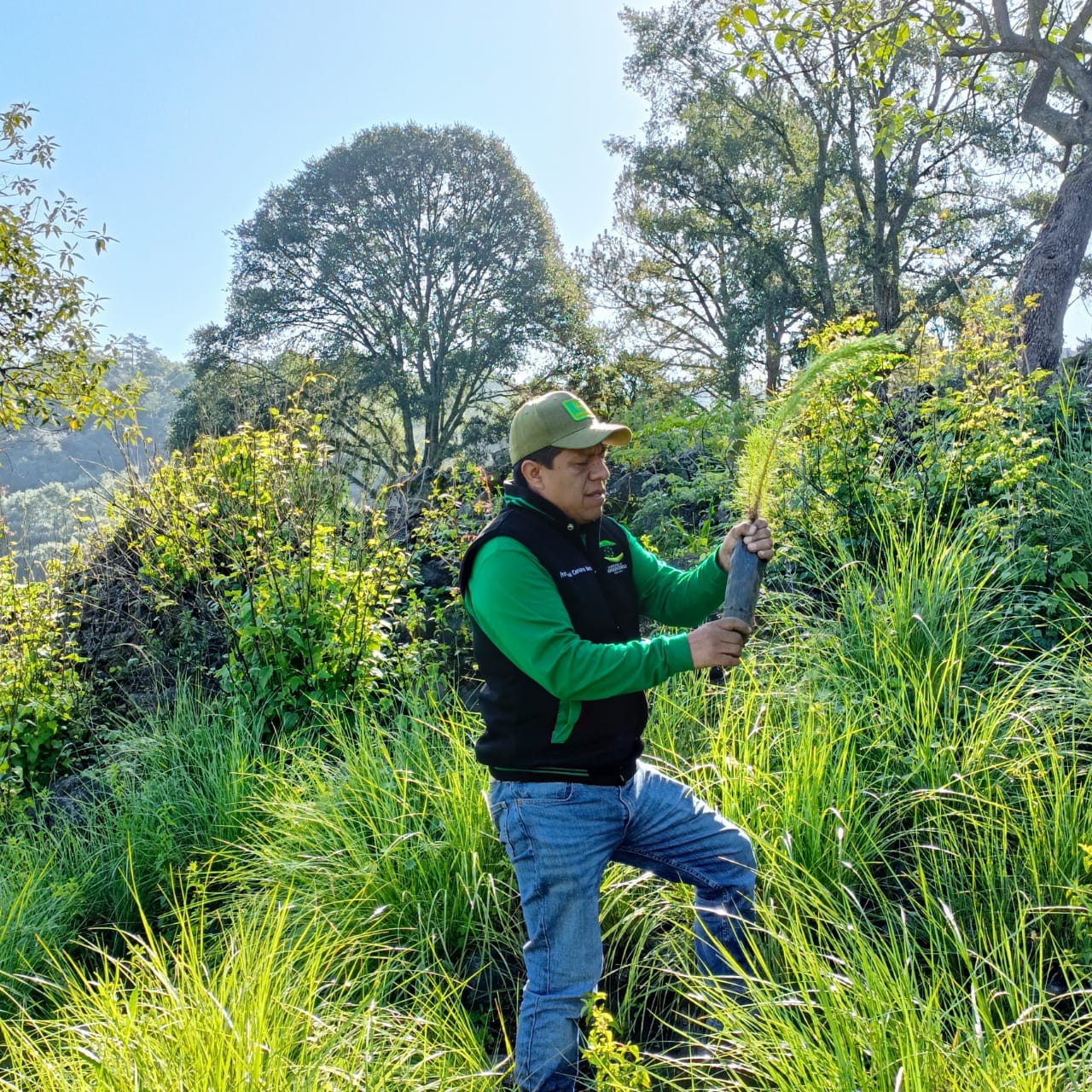 Finalizamos esta semana con una jornada de reforestacion en la