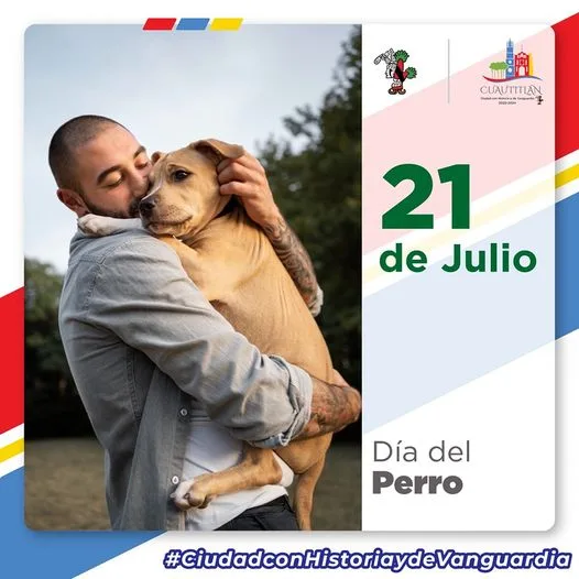 Hoy celebramos a aquellos perritos que no solo nos brindan jpg