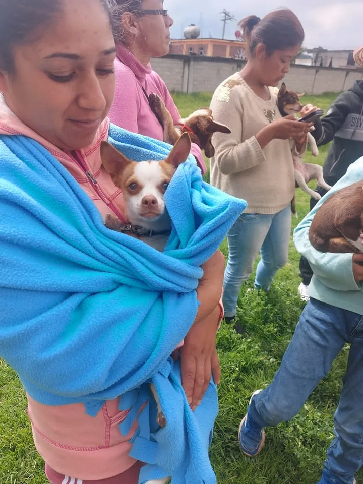 Hoy en San Miguel Balderas acercamos una jornada de esterilizacion jpg